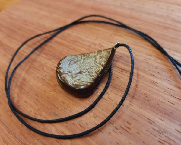 Kopen sieraden kopen druppel van Paua schelp natuur sieraden