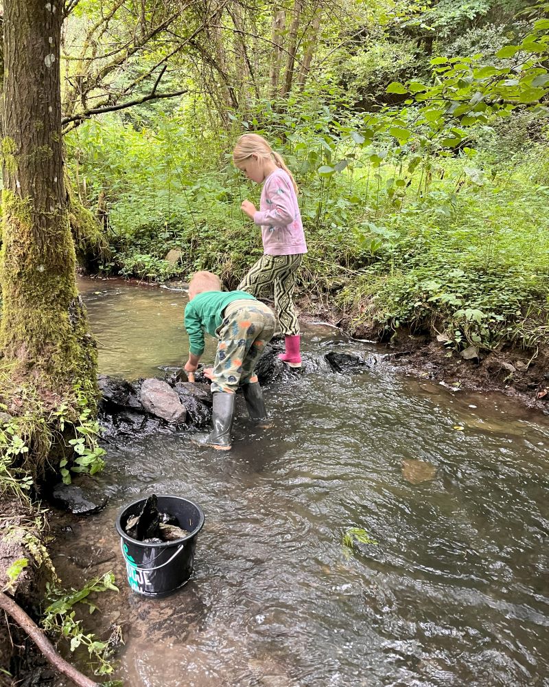 Kreeften vangen in de Ardennen