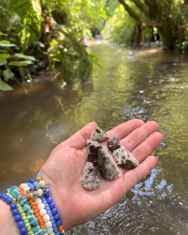 Stenen uit de rivier in de Ardennen