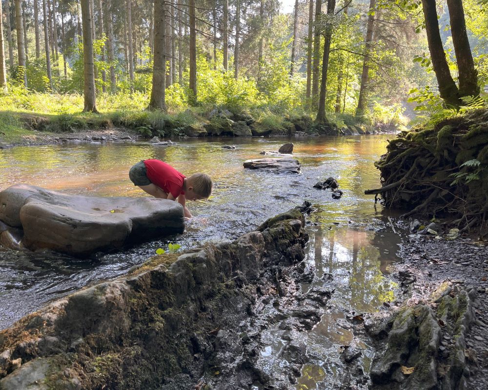 Tygo in de rivier in de Ardennen