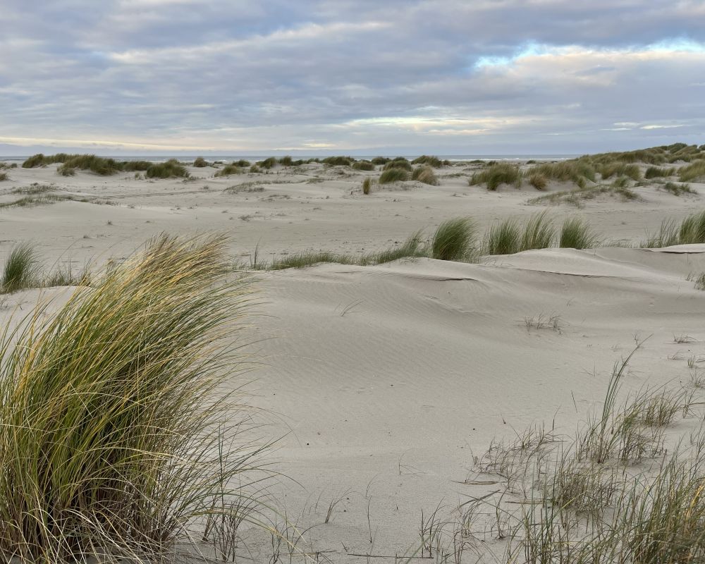 De duinen van Terschelling